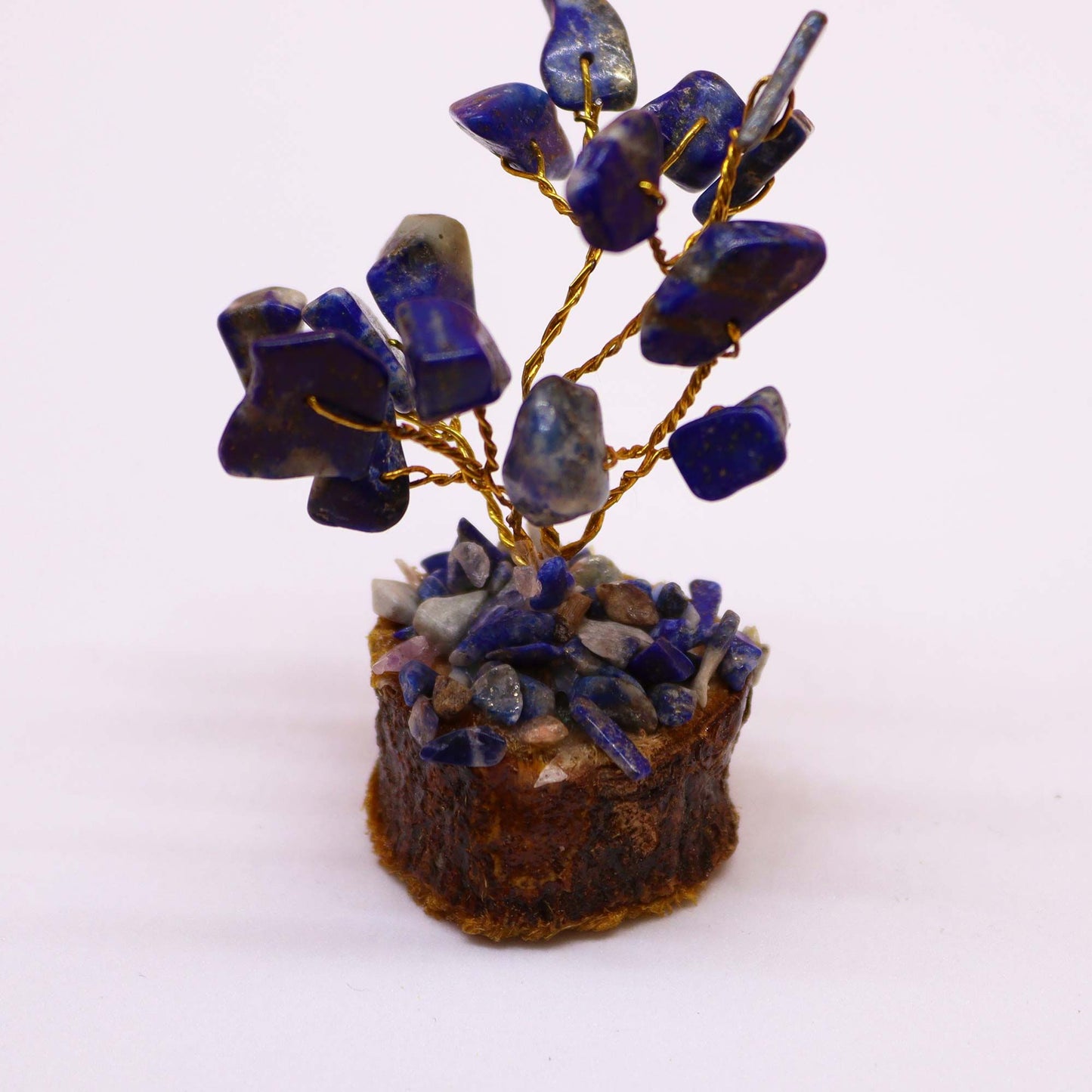 Mini arbre sur socle bois — Sodalite