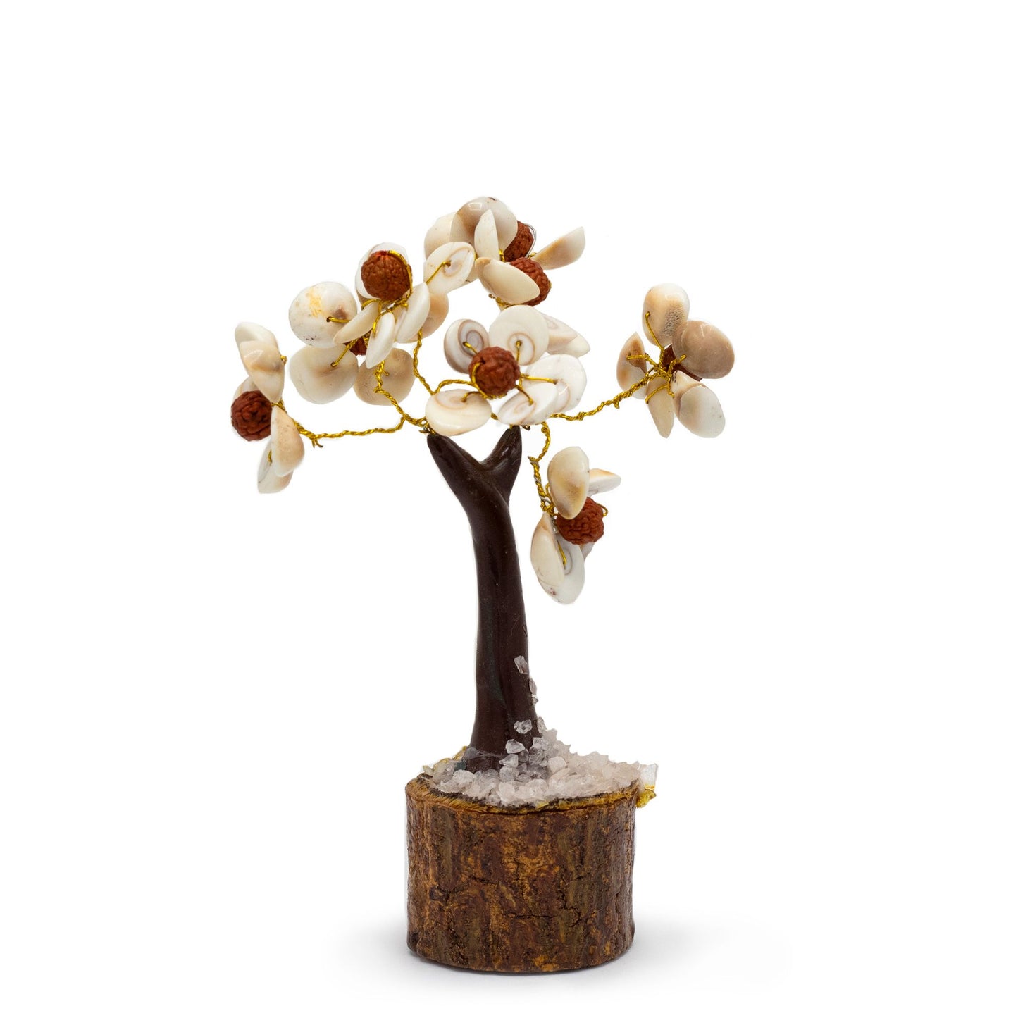 Gomati Chakra cercle d’arbres de pierre à rudraksha format moyen