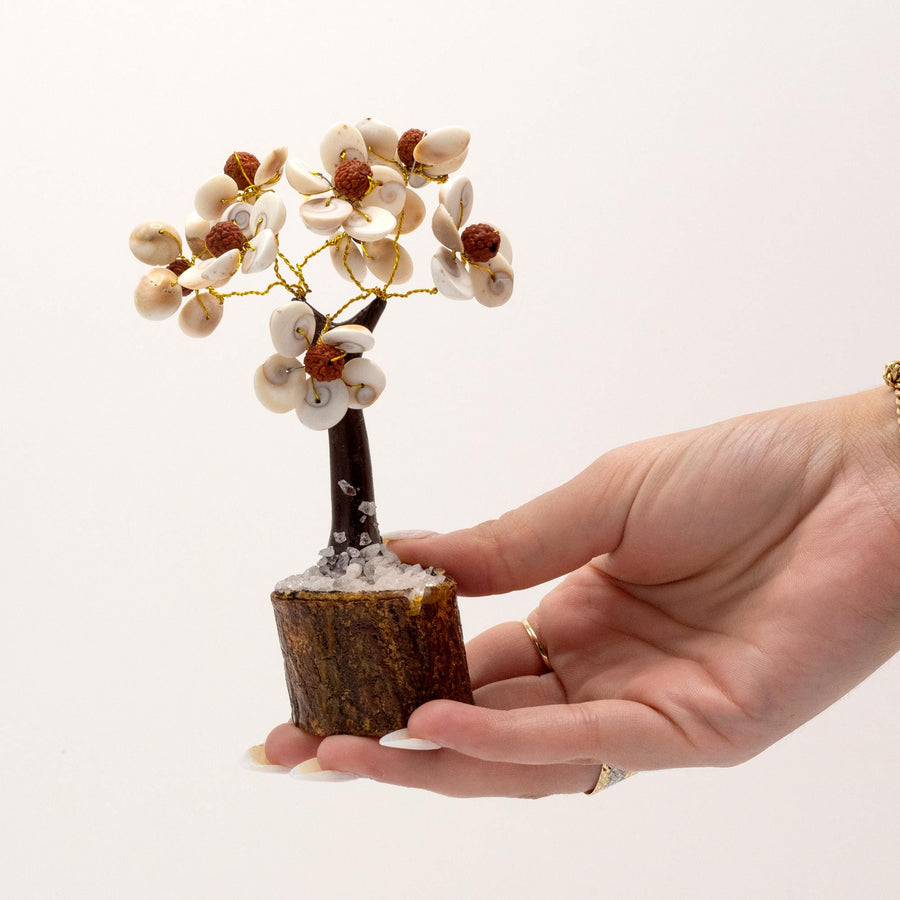 Gomati Chakra cercle d’arbres de pierre à rudraksha format moyen