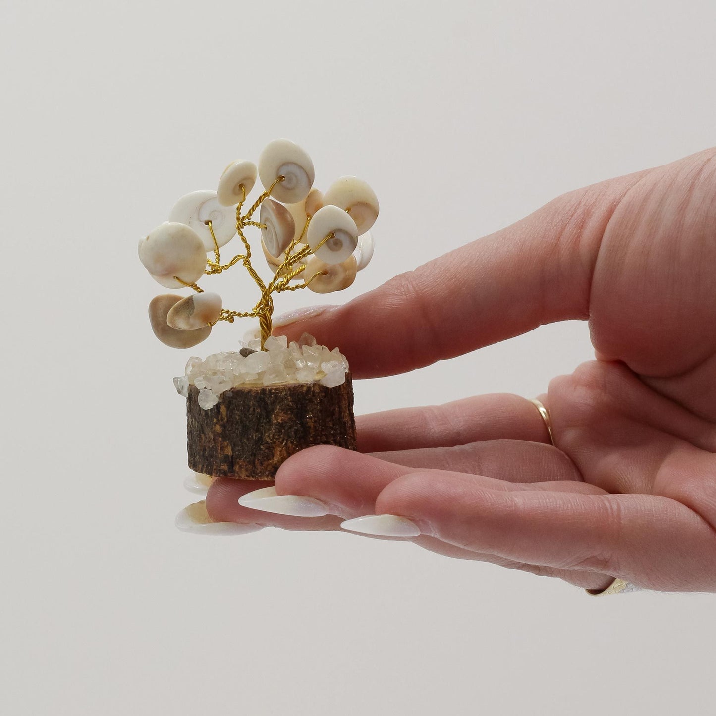 Petit format Gomati Chakra cercle d’arbres de pierre à rudraksha