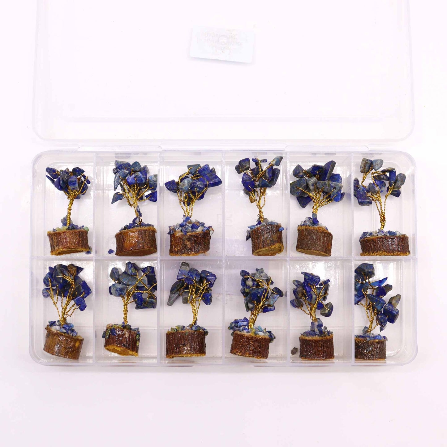 Mini arbre sur socle bois — Sodalite