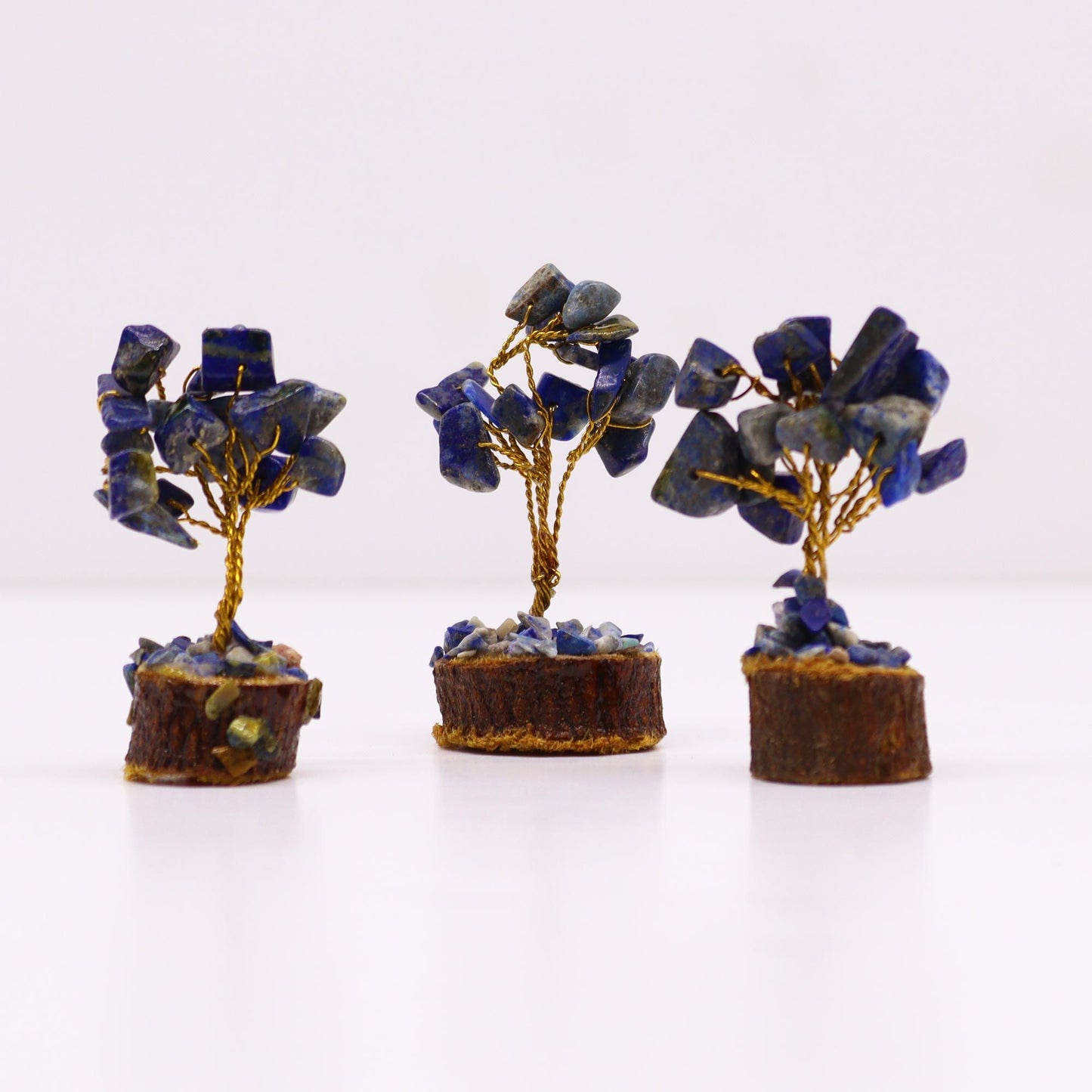 Mini arbre sur socle bois — Sodalite
