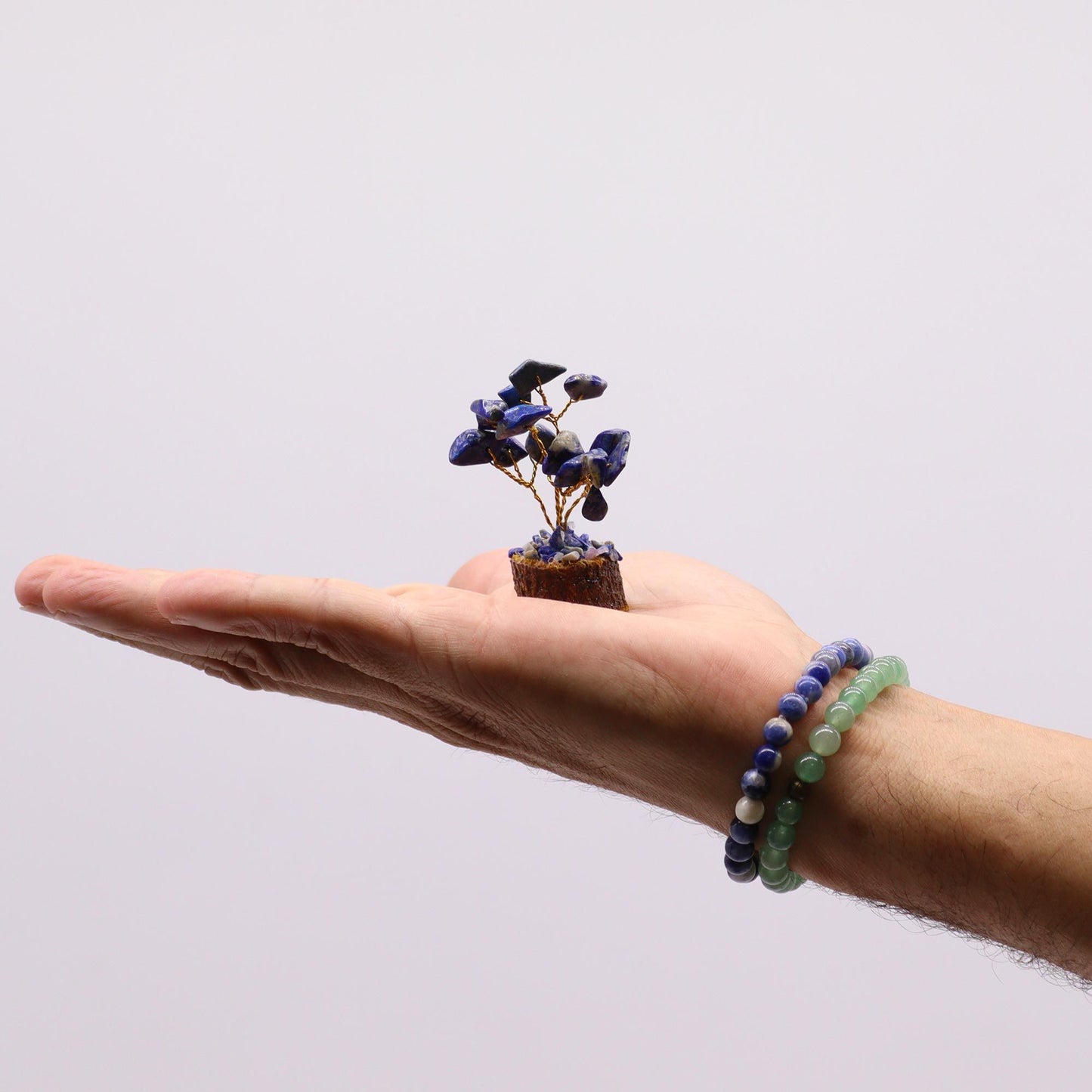 Mini arbre sur socle bois — Sodalite