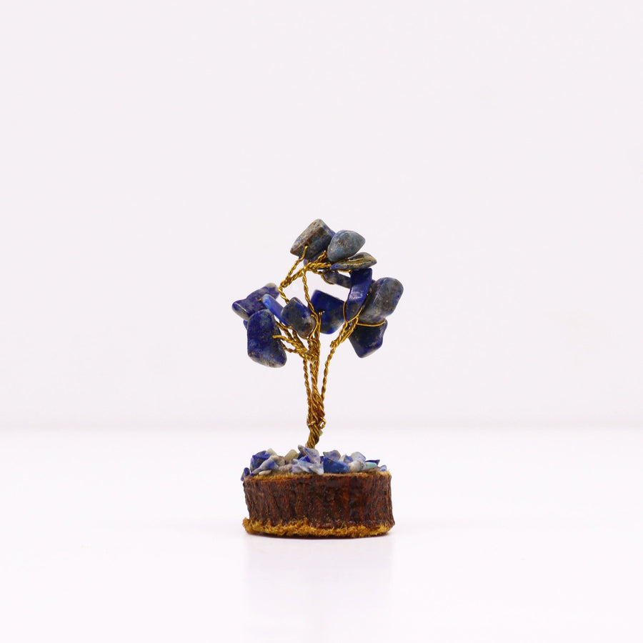 Mini arbre sur socle bois — Sodalite