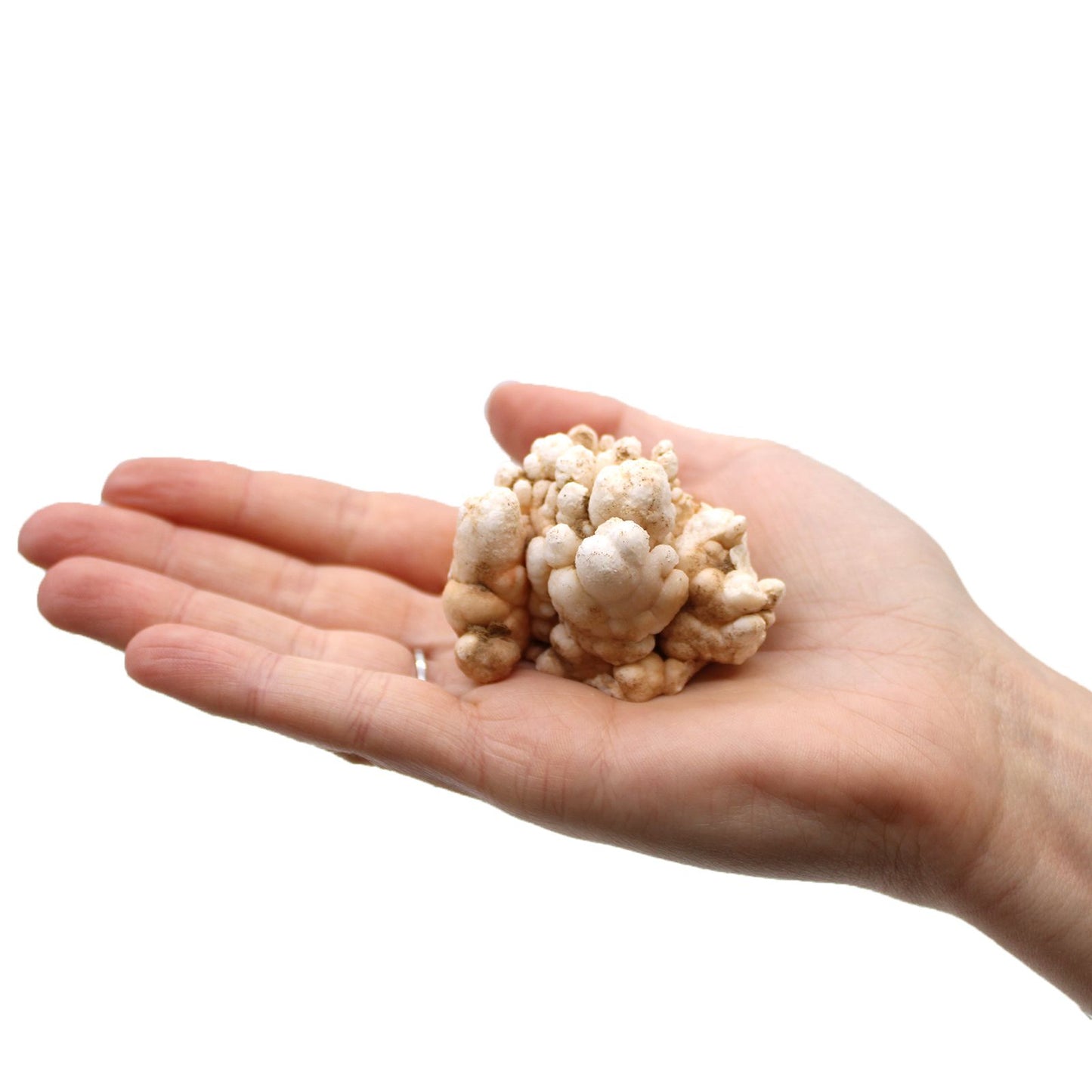 Quartz doigt · Lot de 1 kg