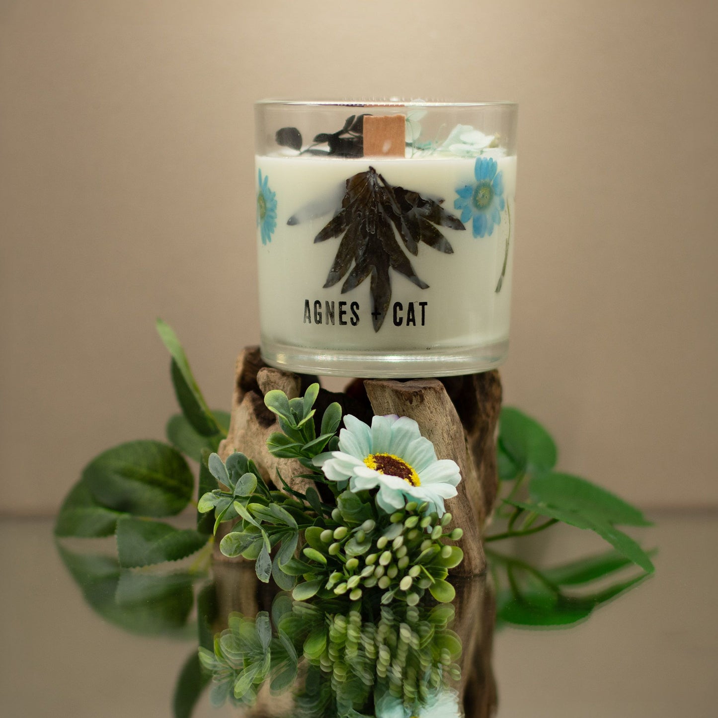 Bougie de cire de soja botanique — Sel marin & mousse