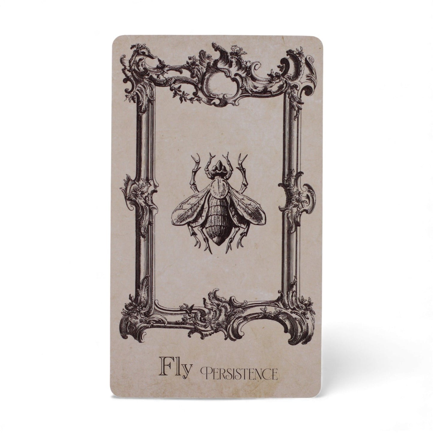 Cartes oracle du grimoire — Jeu de sorcellerie