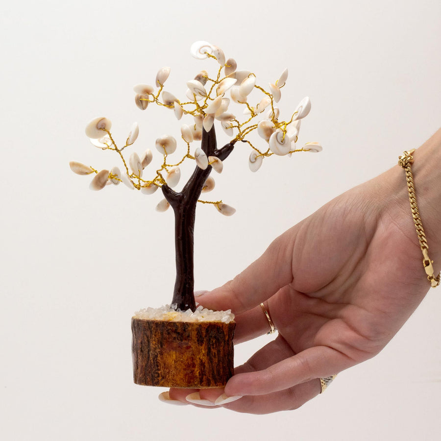 Gomati Chakra cercle d’arbres de pierre grand format