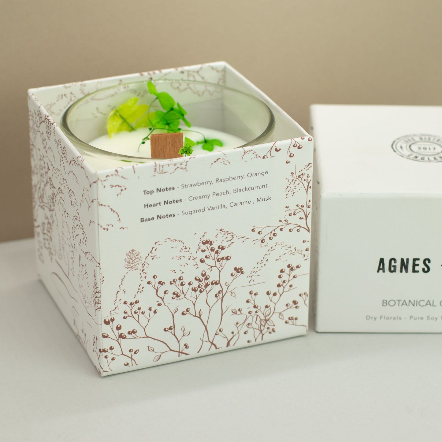 Bougie de cire de soja botanique — Fellberry