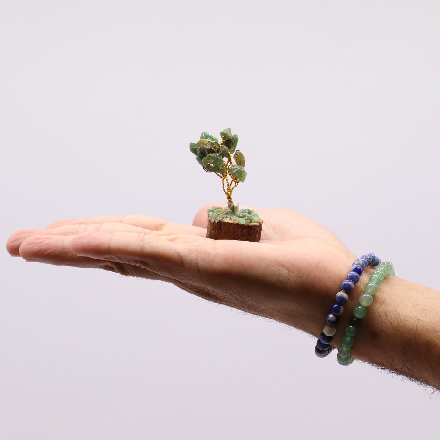 Mini arbres sur socle bois — Assortiment