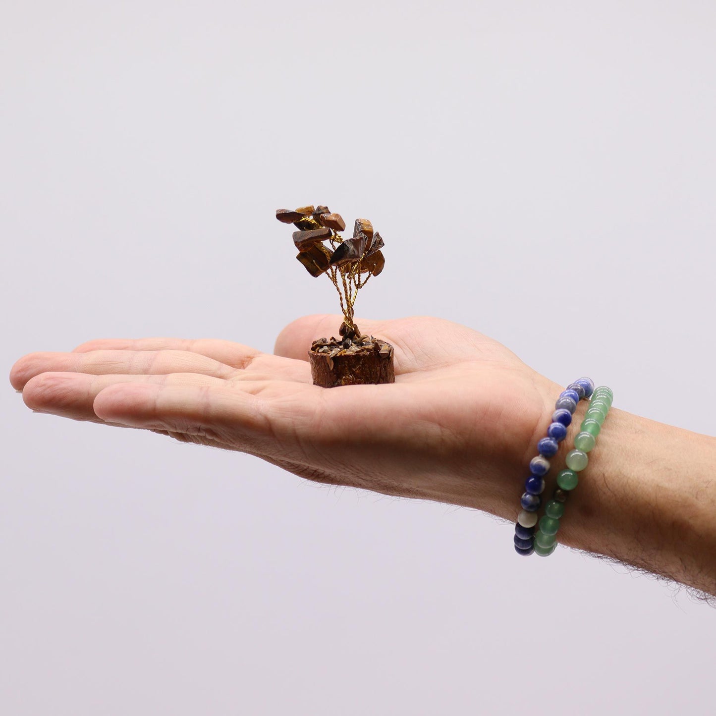 Mini arbres sur socle bois — Assortiment