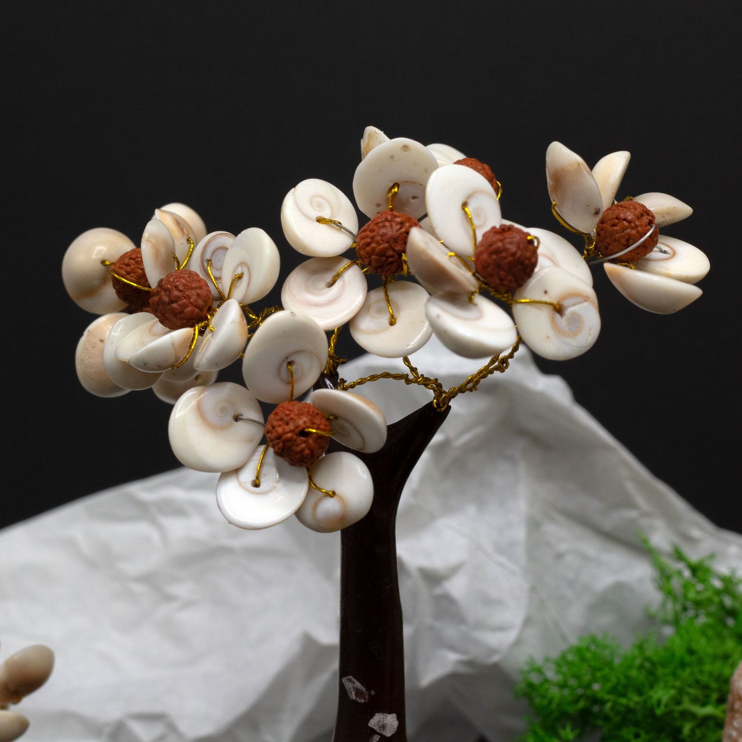 Gomati Chakra cercle d’arbres de pierre à rudraksha format moyen