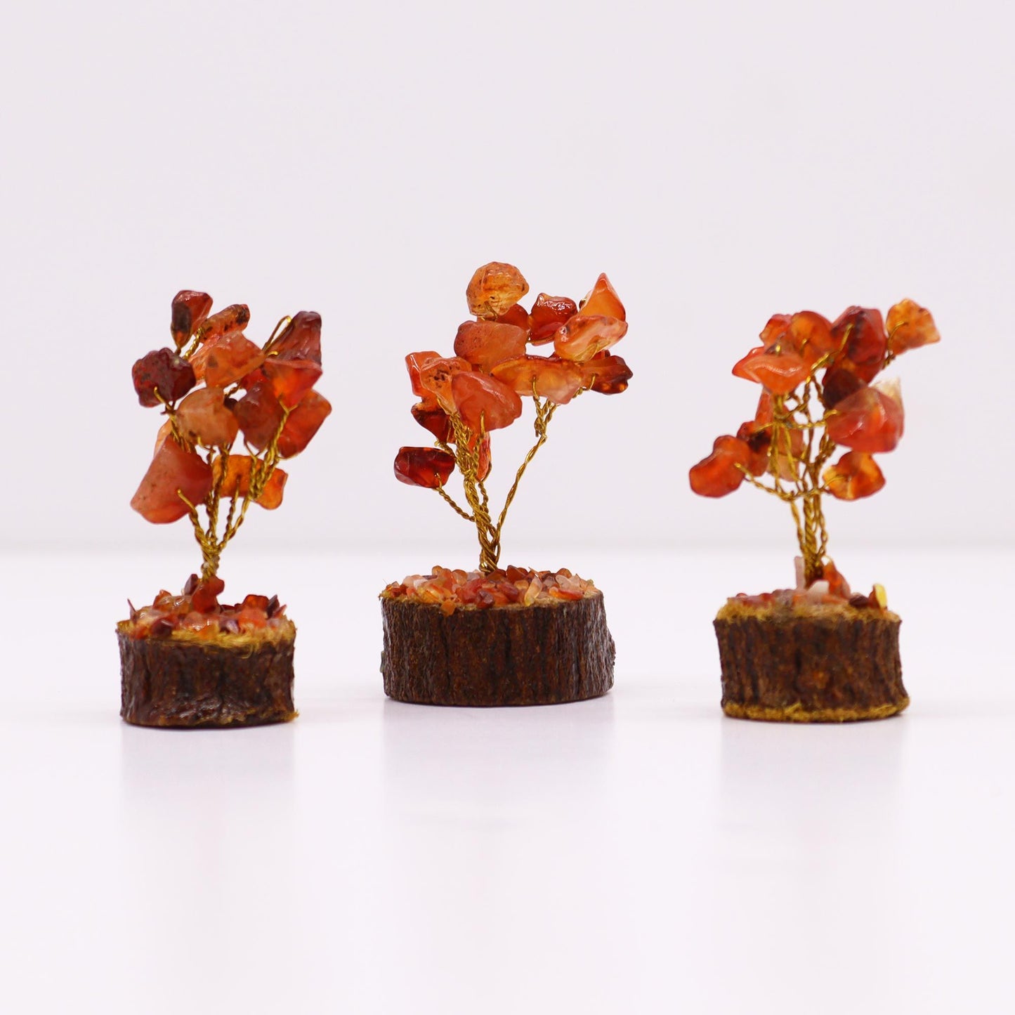 Mini arbre sur socle bois — Cornaline