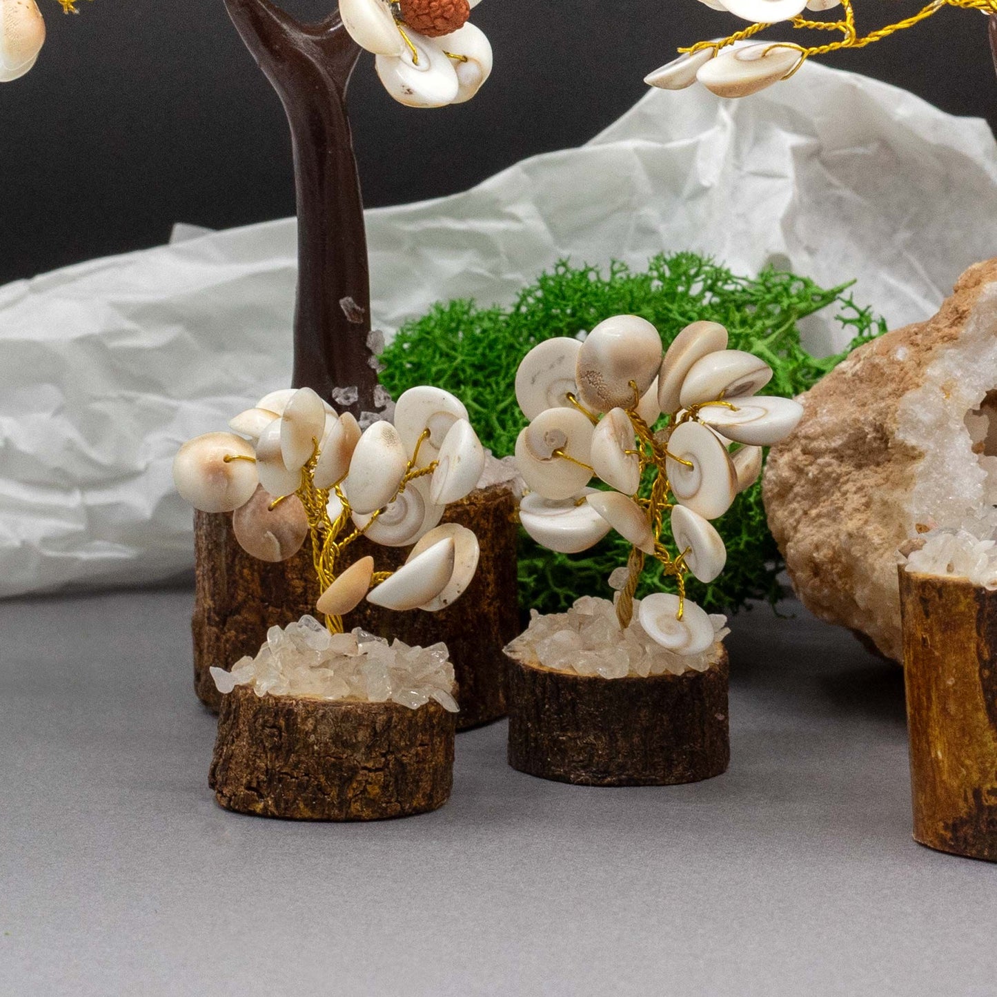 Petit format Gomati Chakra cercle d’arbres de pierre à rudraksha