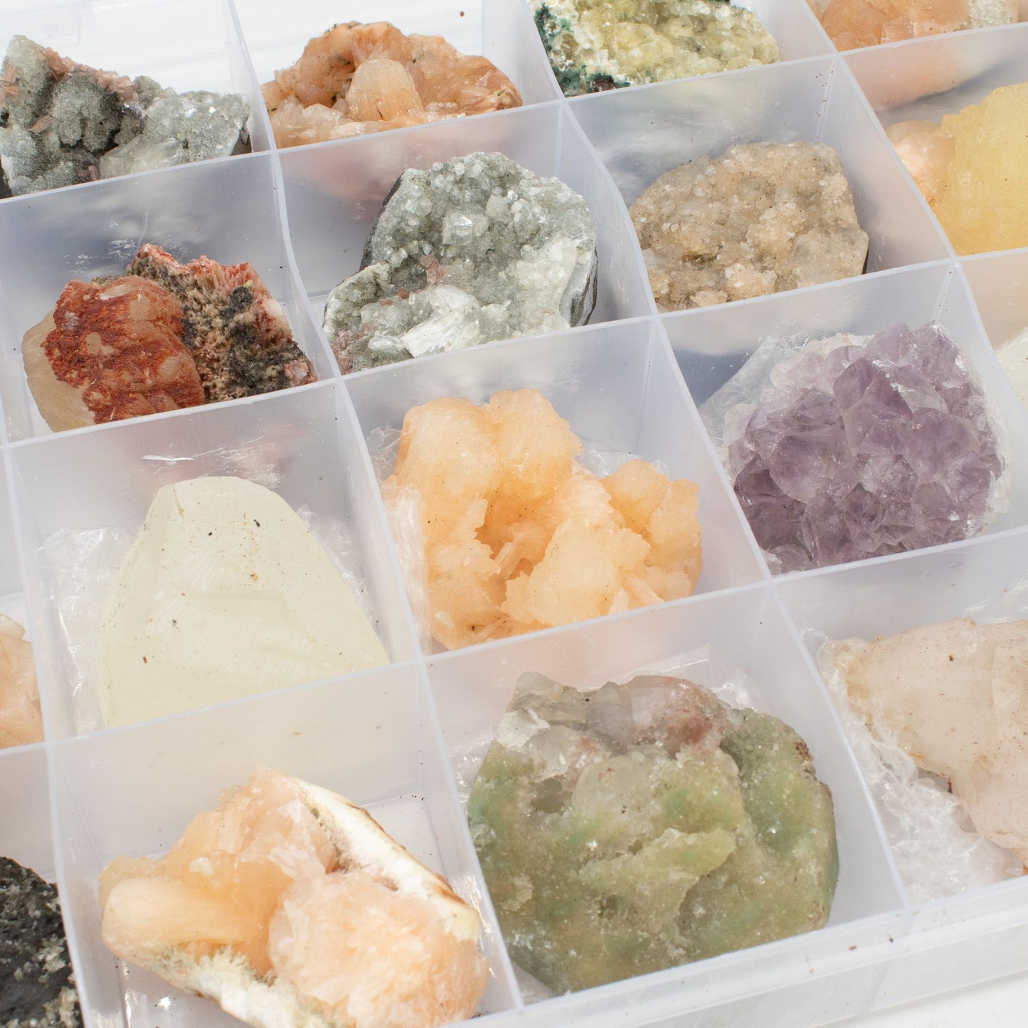 Spécimens minéraux — Zéolites de l’Inde en vitrine
