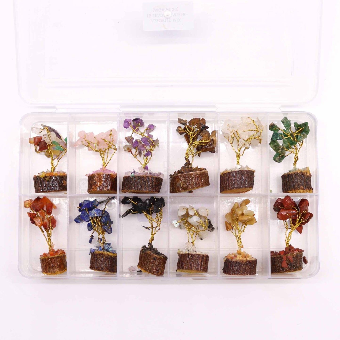 Mini arbres sur socle bois — Assortiment
