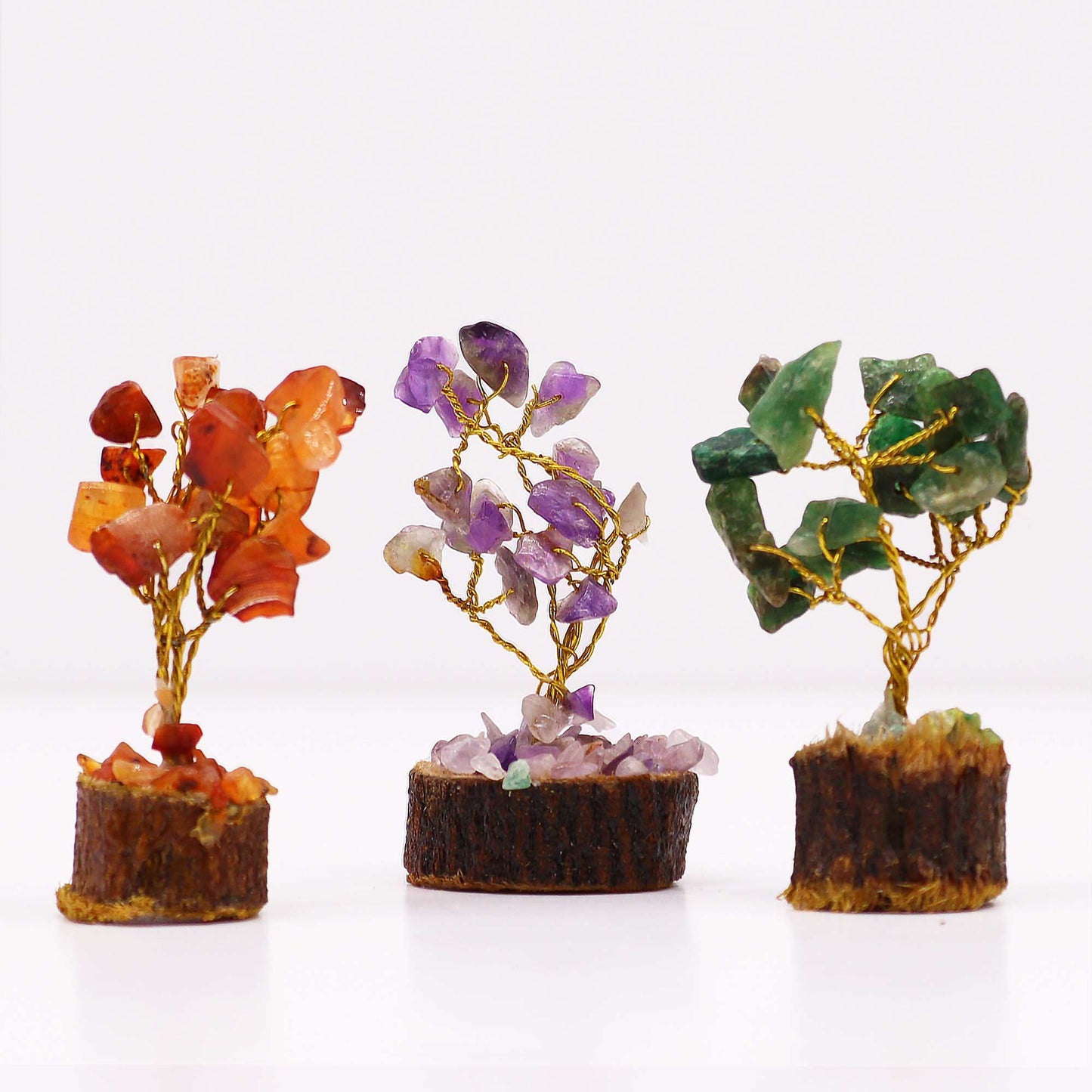 Mini arbres sur socle bois — Assortiment