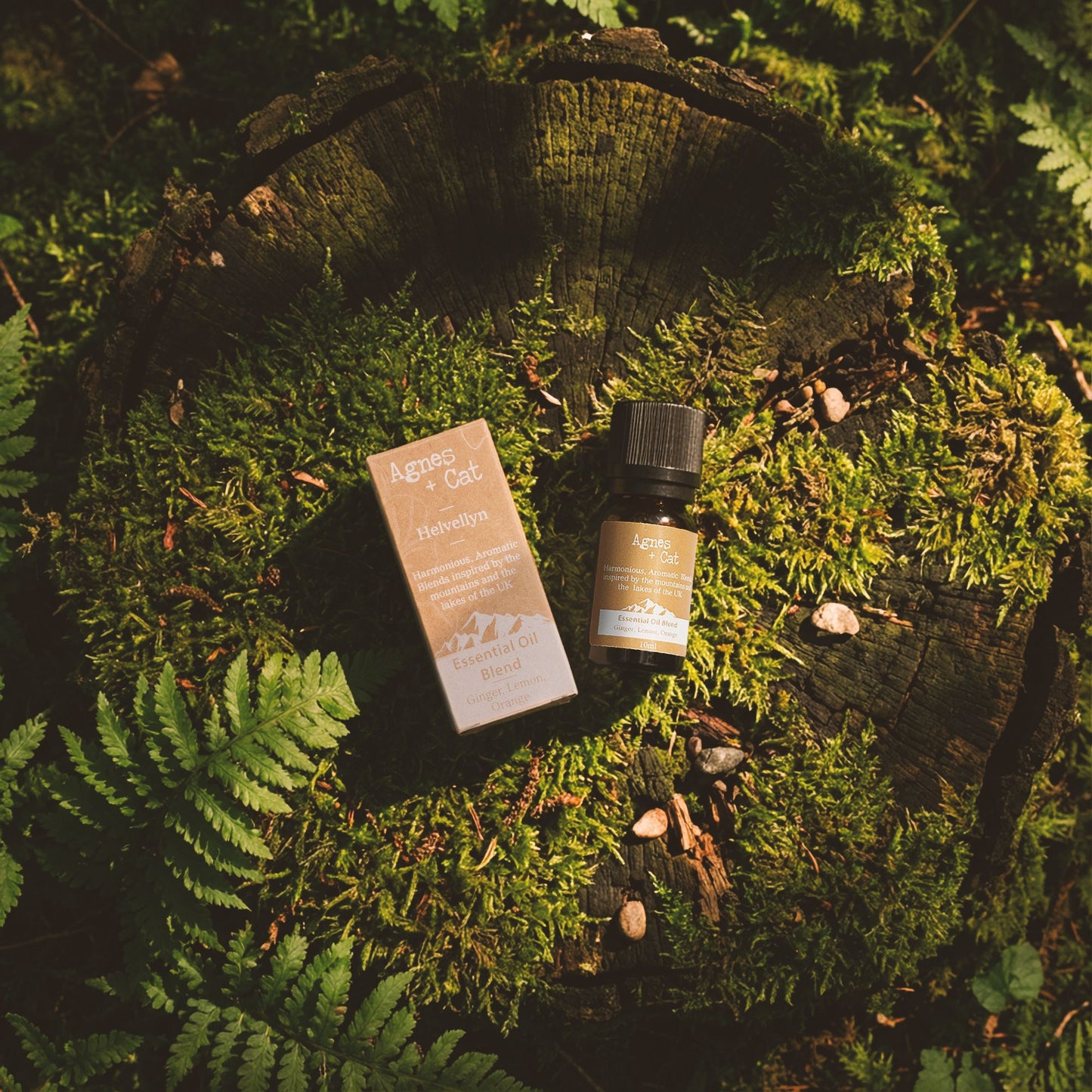 Synergie d’huiles essentielles — Scafell Pike · Cyprès, mandarine & bois de hô