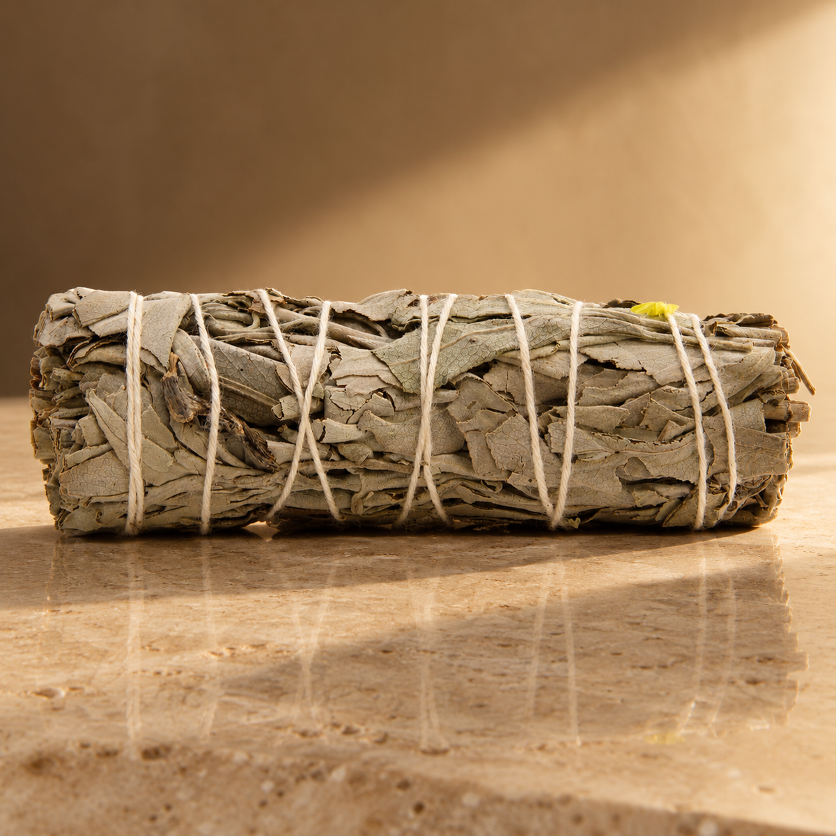 Fagot de sauge blanche et sauge bleue 10 cm